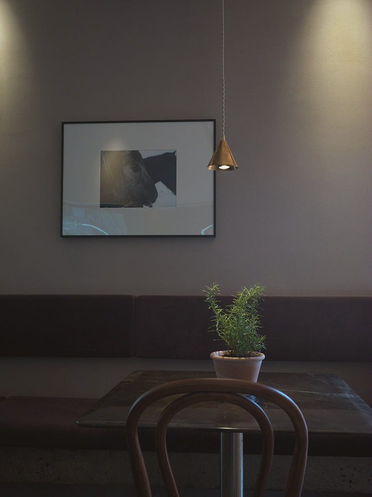 Elevating Illumination: The Enduring Appeal of Brass Pendant Lights