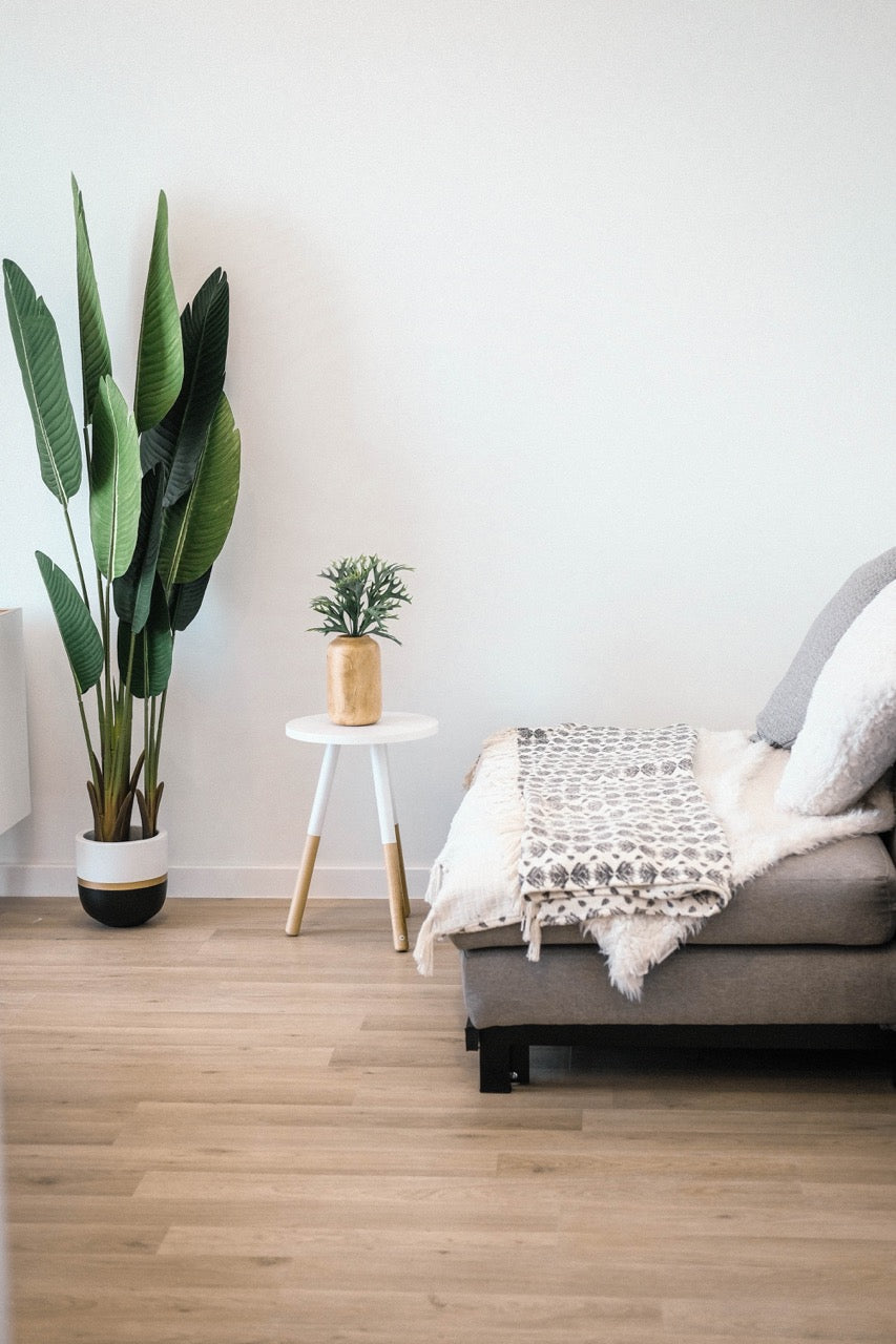 Elevating Your Living Space: The Ultimate Guide to Houseplants