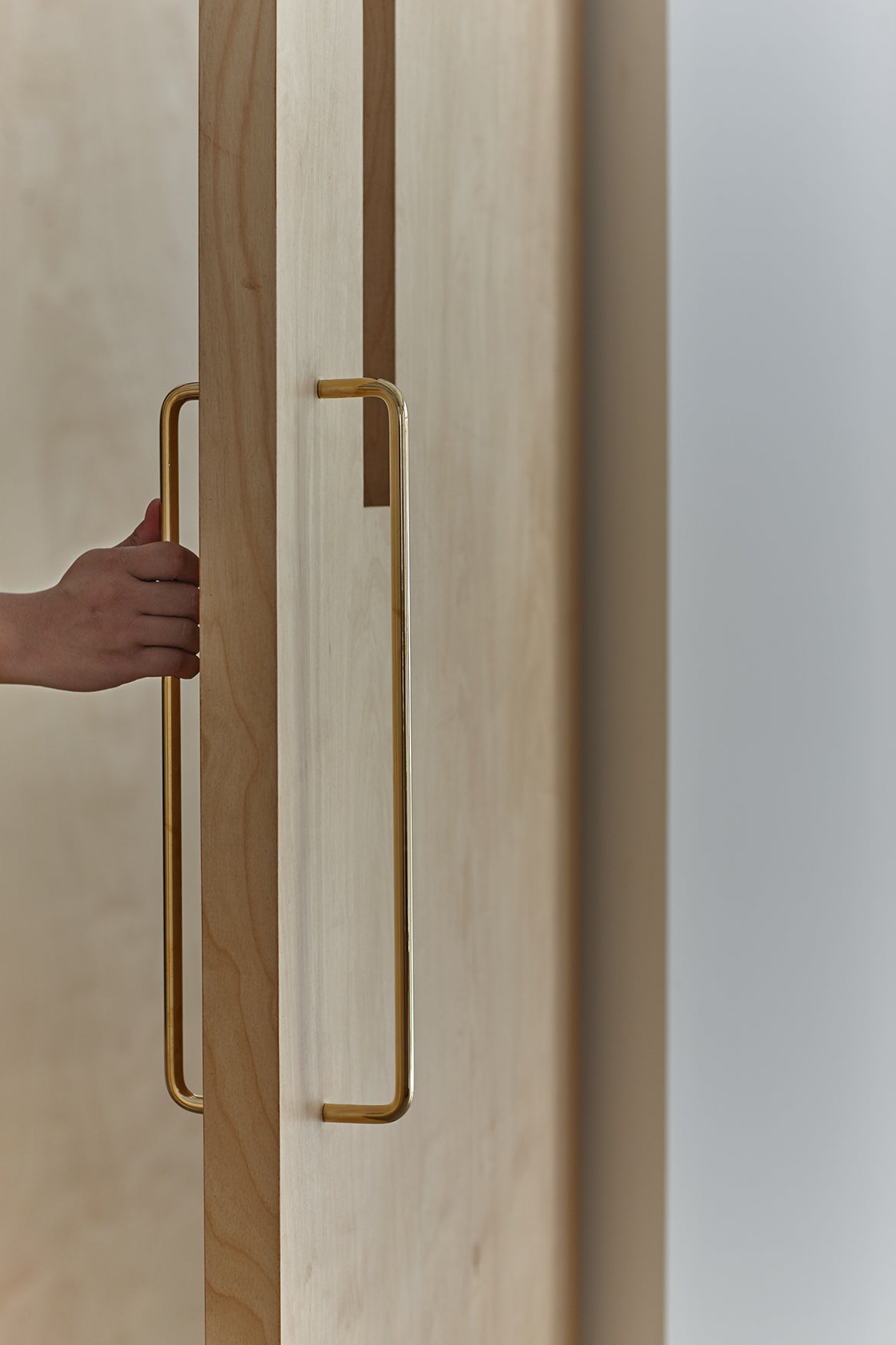 Solid Polished Brass Handles